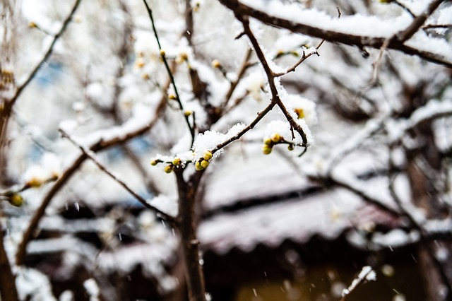 背景分析