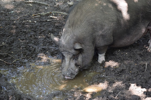 在上个月的 在上个月的