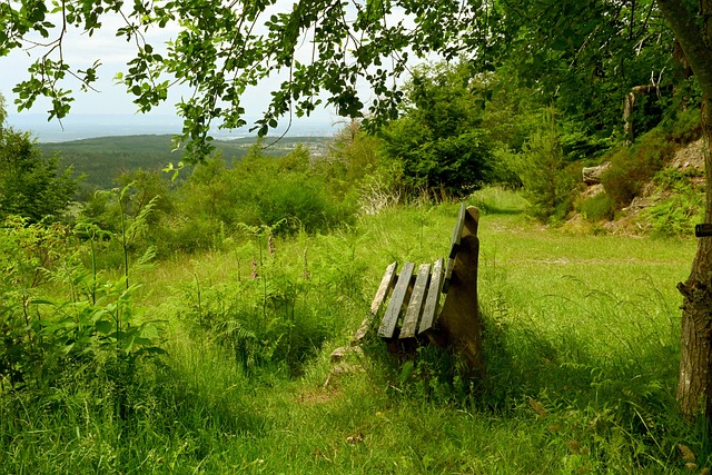 杯可谓是一 杯可谓是一