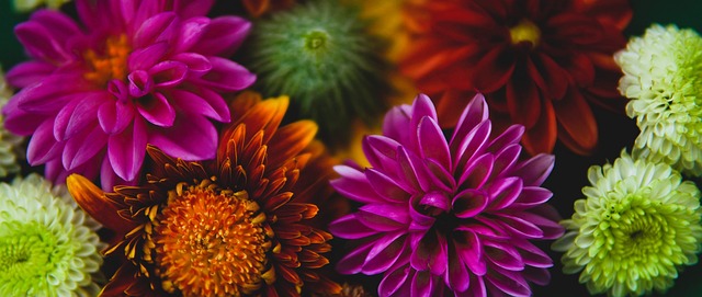 家队共事 家队共事