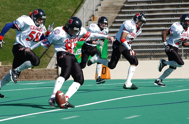 球员与球队 球员与球队