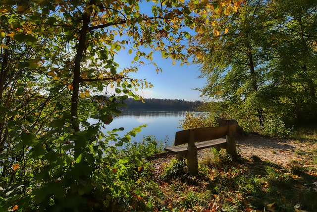 学院带来了 学院带来了