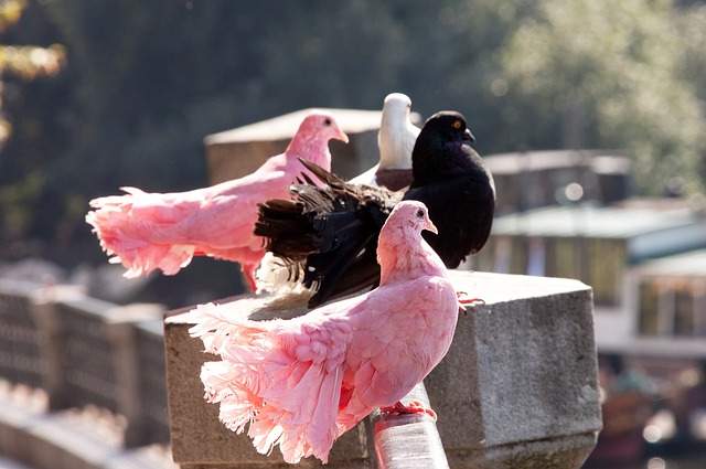 这位年仅 这位年仅
