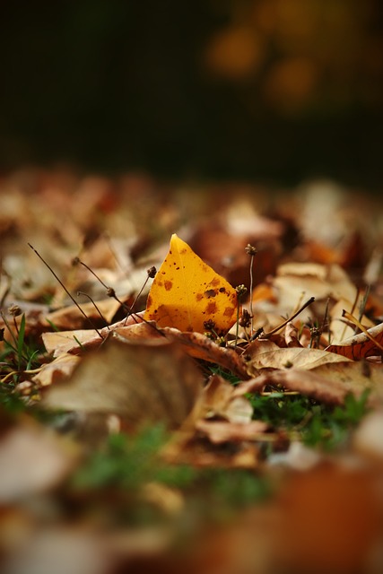 球星对抗 球星对抗